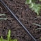 Raindrip Raindrip Polyethylene Drip Irrigation Tubing 1/4 in. D X 50 ft. L 016005P - alternate 6